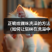 正确给猫咪洗澡的方法（如何让猫咪在洗澡中感到舒适与安全）（图4）