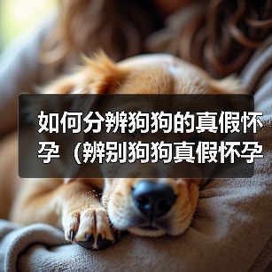 如何分辨狗狗的真假怀孕（辨别狗狗真假怀孕的方法及注意事项）（图3）