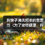 狗笼子清洗频率的重要性（为了宠物健康，你需要知道这些关键信息）（图3）