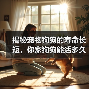 揭秘宠物狗狗的寿命长短，你家狗狗能活多久？（以15种常见宠物狗的寿命榜来看看，谁的寿命更长？）（图3）