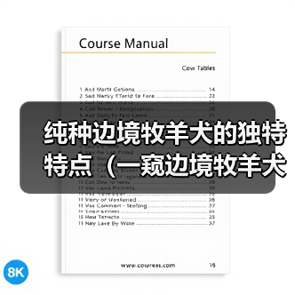 纯种边境牧羊犬的独特特点（一窥边境牧羊犬的五大魅力）（图4）