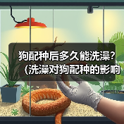 狗配种后多久能洗澡？（洗澡对狗配种的影响及最佳时间选择）（图2）