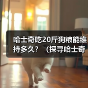 哈士奇吃20斤狗粮能维持多久？（探寻哈士奇的饮食需求与狗粮消耗速度）（图1）