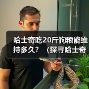 哈士奇吃20斤狗粮能维持多久？（探寻哈士奇的饮食需求与狗粮消耗速度）（图4）