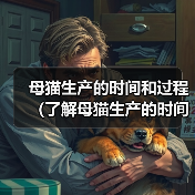 母猫生产的时间和过程（了解母猫生产的时间和过程，帮助您关心和照顾猫咪健康）（图3）