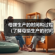 母猫生产的时间和过程（了解母猫生产的时间和过程，帮助您关心和照顾猫咪健康）（图4）