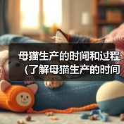 母猫生产的时间和过程（了解母猫生产的时间和过程，帮助您关心和照顾猫咪健康）（图1）