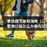 泰迪腹泻急救指南（以泰迪拉稀怎么办最有效）（图1）
