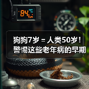 狗狗7岁＝人类50岁！警惕这些老年病的早期信号（图3）