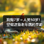 狗狗7岁＝人类50岁！警惕这些老年病的早期信号（图4）