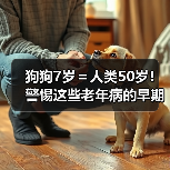 狗狗7岁＝人类50岁！警惕这些老年病的早期信号（图1）