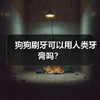 狗狗刷牙可以用人类牙膏吗？（图1）