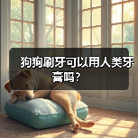 狗狗刷牙可以用人类牙膏吗？（图2）