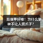 剪指甲好难！为什么猫咪不让人摸爪子？（图2）