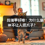 剪指甲好难！为什么猫咪不让人摸爪子？（图4）