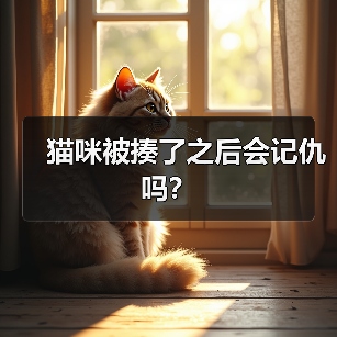 猫咪被揍了之后会记仇吗？（图2）