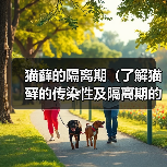 猫藓的隔离期（了解猫藓的传染性及隔离期的重要性）（图3）