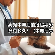 狗狗中毒后的危险期究竟有多久？（中毒后关键时刻怎么过？）（图2）