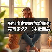 狗狗中毒后的危险期究竟有多久？（中毒后关键时刻怎么过？）（图4）