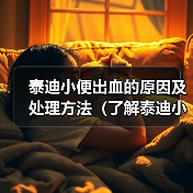 泰迪小便出血的原因及处理方法（了解泰迪小便出血可能的病因及治疗方法，保护宠物的健康）（图4）