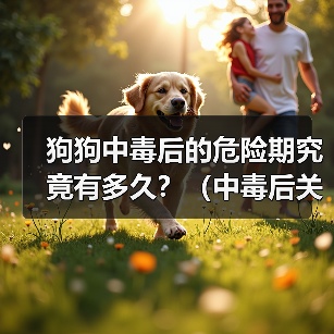 狗狗中毒后的危险期究竟有多久？（中毒后关键时刻怎么过？）（图3）