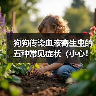 狗狗传染血液寄生虫的五种常见症状（小心！你的宠物可能感染了这些寄生虫）（图4）
