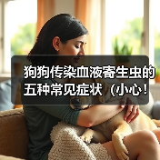 狗狗传染血液寄生虫的五种常见症状（小心！你的宠物可能感染了这些寄生虫）（图2）