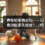养鱼初学者必知——以鱼进缸多久喂食？（饲养新手必备知识，喂食频率关键解析！）（图2）