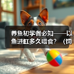 养鱼初学者必知——以鱼进缸多久喂食？（饲养新手必备知识，喂食频率关键解析！）（图3）
