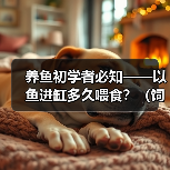 养鱼初学者必知——以鱼进缸多久喂食？（饲养新手必备知识，喂食频率关键解析！）（图4）