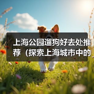 上海公园遛狗好去处推荐（探索上海城市中的狗友乐园，与爱宠共享美好时光）（图3）