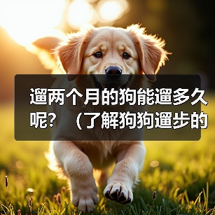 遛两个月的狗能遛多久呢？（了解狗狗遛步的时间需求和注意事项）（图3）
