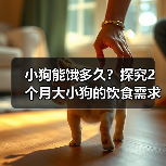 小狗能饿多久？探究2个月大小狗的饮食需求（解析小狗饥饿感的持续时间及影响因素）（图1）