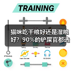猫咪吃干粮好还是湿粮好？90%的铲屎官都选错了（图1）