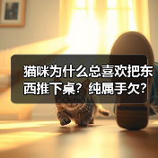 猫咪为什么总喜欢把东西推下桌？纯属手欠？（图3）