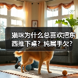 猫咪为什么总喜欢把东西推下桌？纯属手欠？（图1）