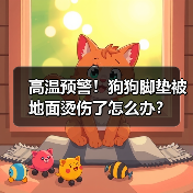 高温预警！狗狗脚垫被地面烫伤了怎么办？（图4）