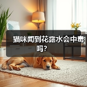 猫咪闻到花露水会中毒吗？（图3）