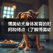 博美幼犬身体发育的时间和特点（了解博美幼犬身体成长的关键因素及时间节点）（图4）