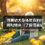 博美幼犬身体发育的时间和特点（了解博美幼犬身体成长的关键因素及时间节点）（图3）