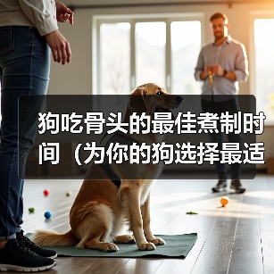 狗吃骨头的最佳煮制时间（为你的狗选择最适合的骨头煮制时间）（图1）