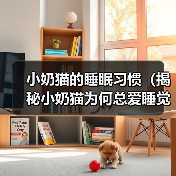 小奶猫的睡眠习惯（揭秘小奶猫为何总爱睡觉）（图4）