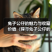 兔子公仔的魅力与收藏价值（探寻兔子公仔的种类与历史，了解收藏的乐趣与意义）（图4）