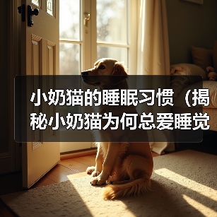 小奶猫的睡眠习惯（揭秘小奶猫为何总爱睡觉）（图3）