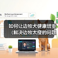 如何让边牧犬健康增重（解决边牧太瘦的问题，提供适合增重的饮食和方法）（图3）
