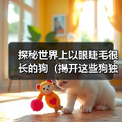 探秘世界上以眼睫毛很长的狗（揭开这些狗独特美丽的秘密）（图3）