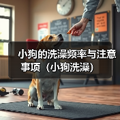 小狗的洗澡频率与注意事项（小狗洗澡）（图1）