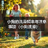 小狗的洗澡频率与注意事项（小狗洗澡）（图4）