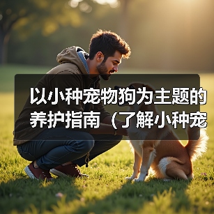 以小种宠物狗为主题的养护指南（了解小种宠物狗，打造幸福宠物生活）（图3）