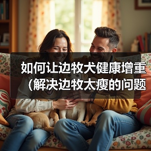 如何让边牧犬健康增重（解决边牧太瘦的问题，提供适合增重的饮食和方法）（图1）